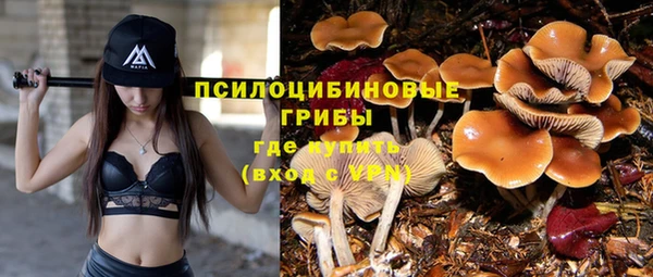 кокс Богданович