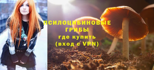 PSILOCYBIN Приозерск